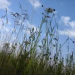 Vier Winde Usedom - Feriehus *