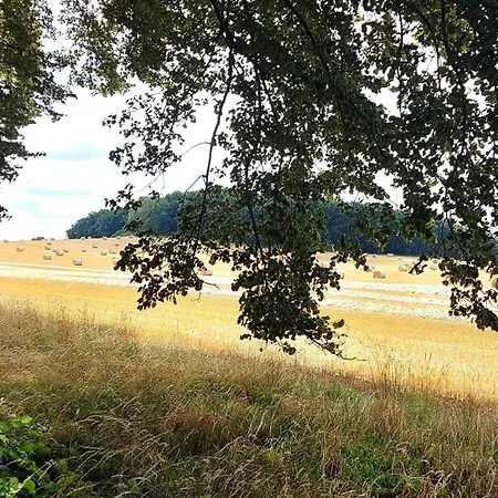 Vier Winde - Usedom