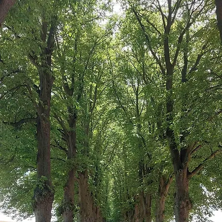 Vier Winde Usedom - 度假居 Krummin