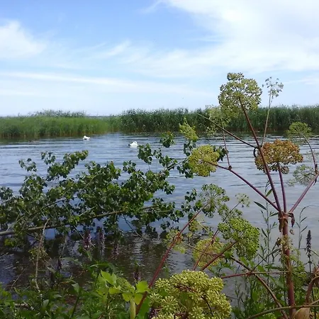 Vier Winde Usedom - * Krummin