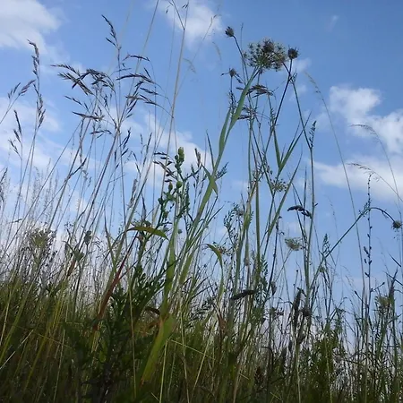 Vier Winde - Usedom Feriehus *