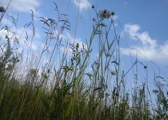 Vier Winde Usedom - Ferienhaus *